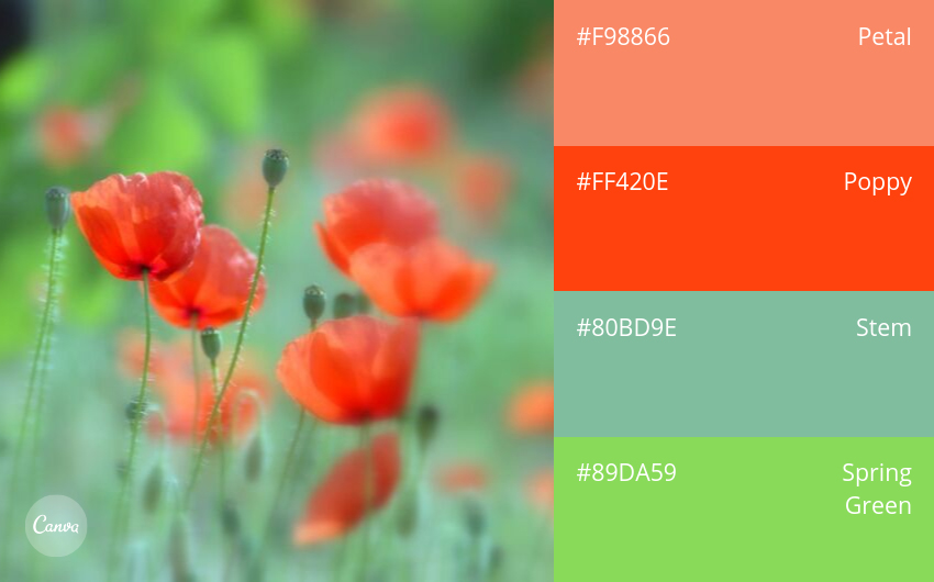 color combination