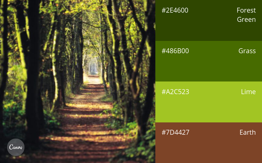 color combination
