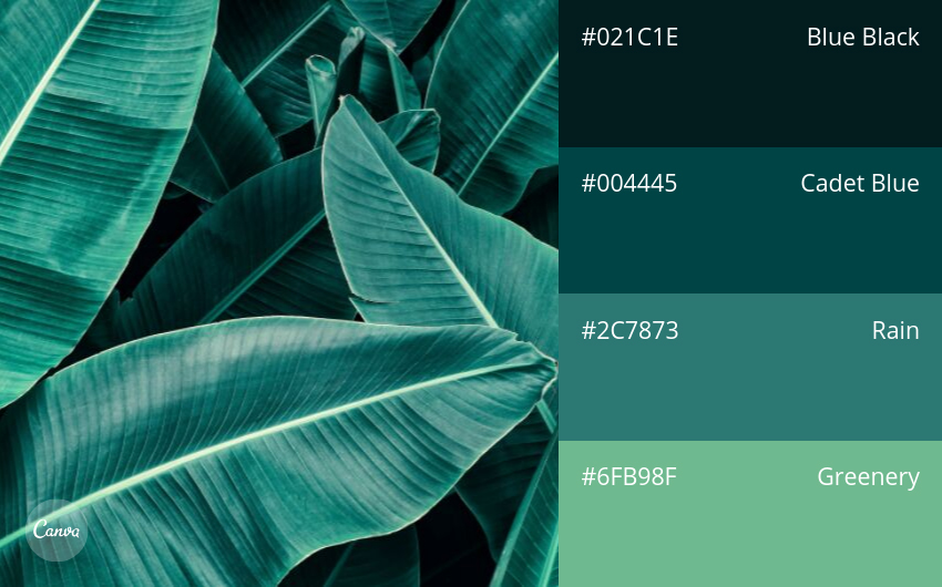 color combination