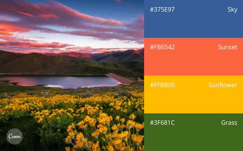 color combination