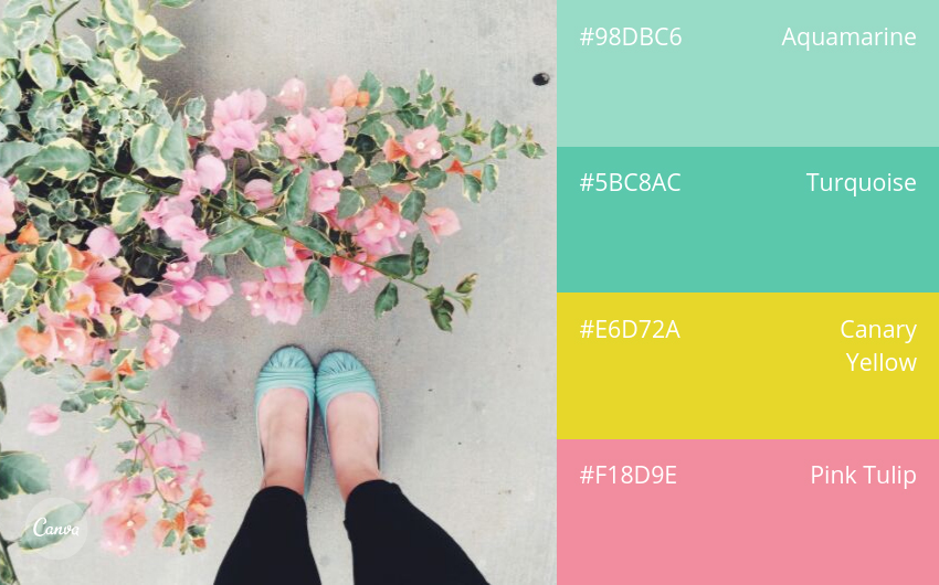 color combination