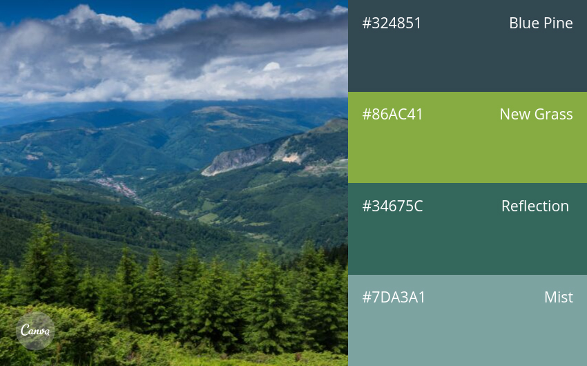 color combination