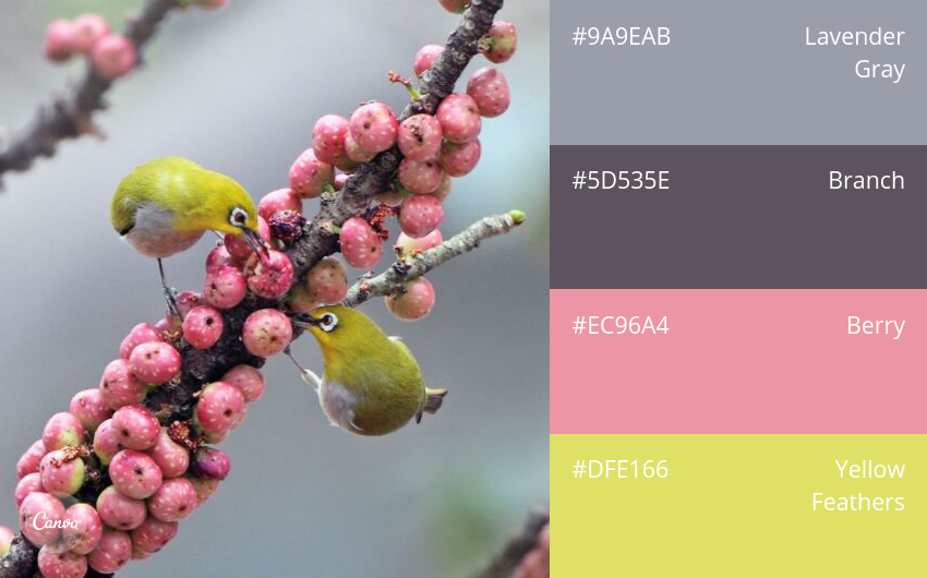 color combination