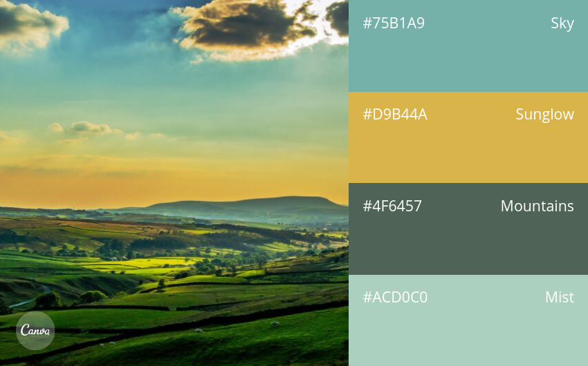 color combination