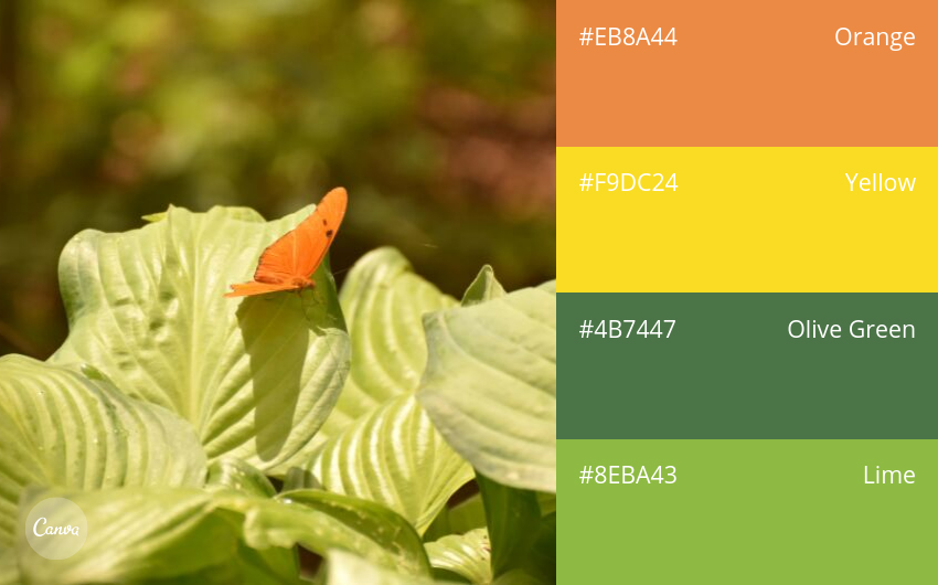 color combination