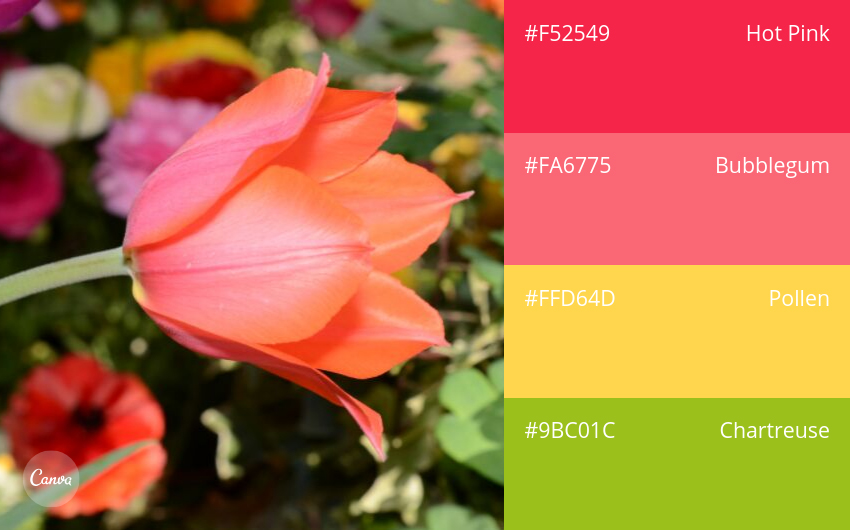 color combination