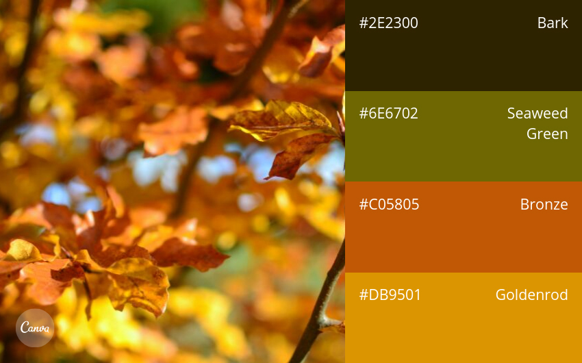 color combination