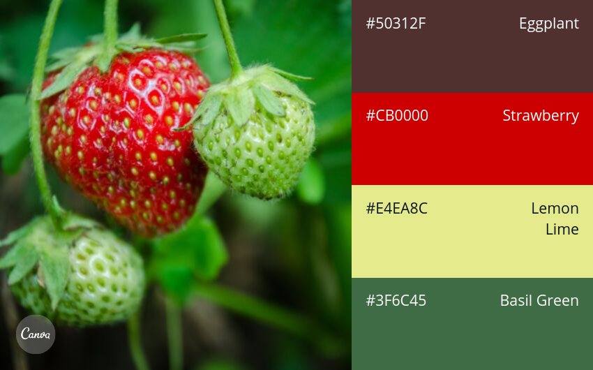 color combination