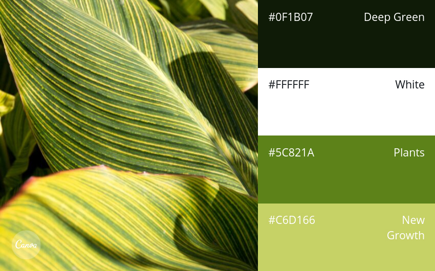 color combination