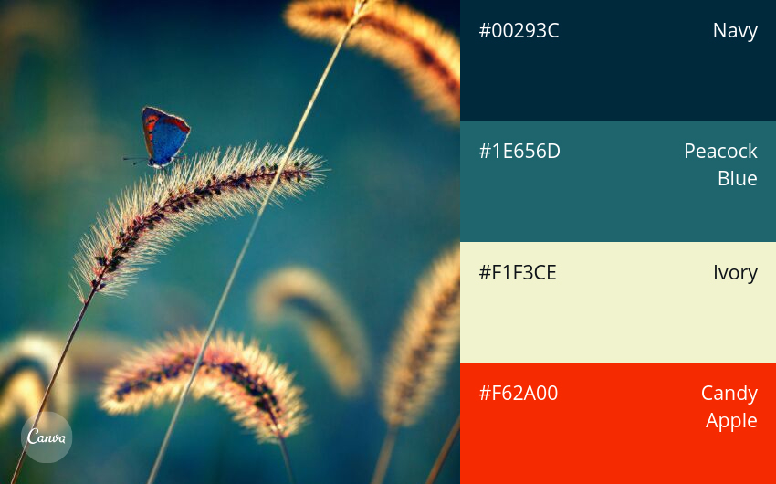 color combination
