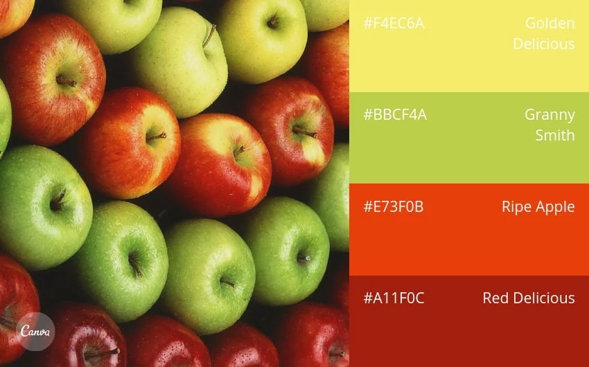 color combination