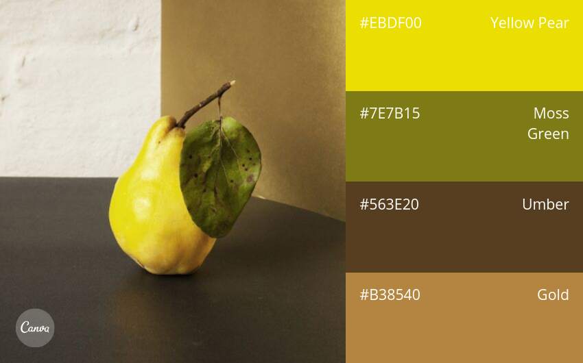 color combination
