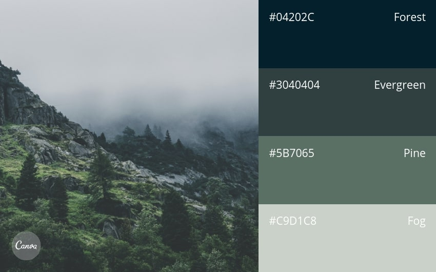 color combination