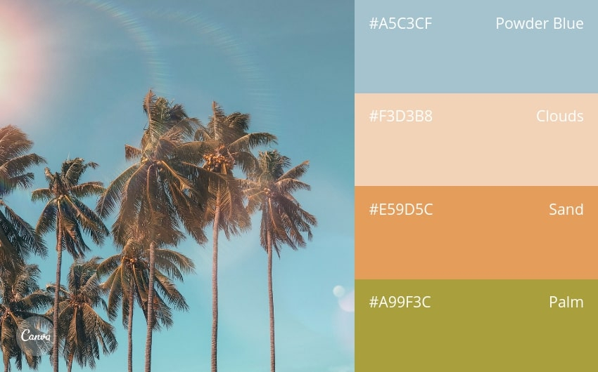 color combination