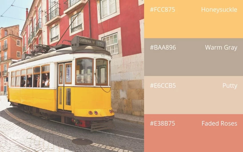color combination