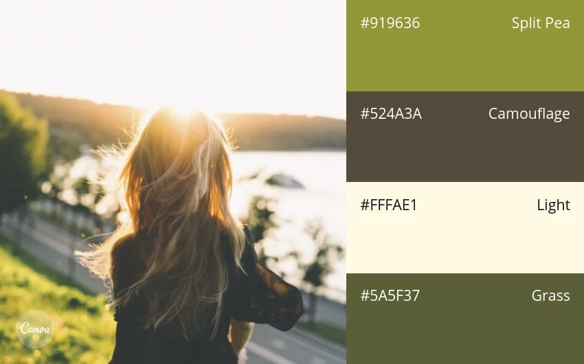 color combination
