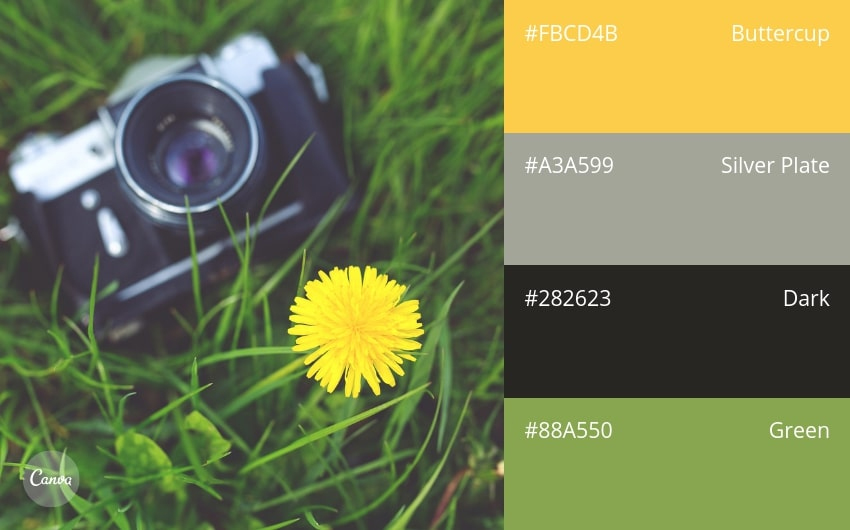 color combination